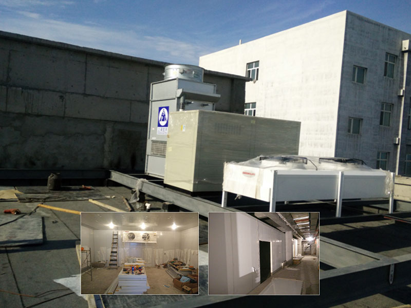 新疆干果保鮮冷庫項(xiàng)目