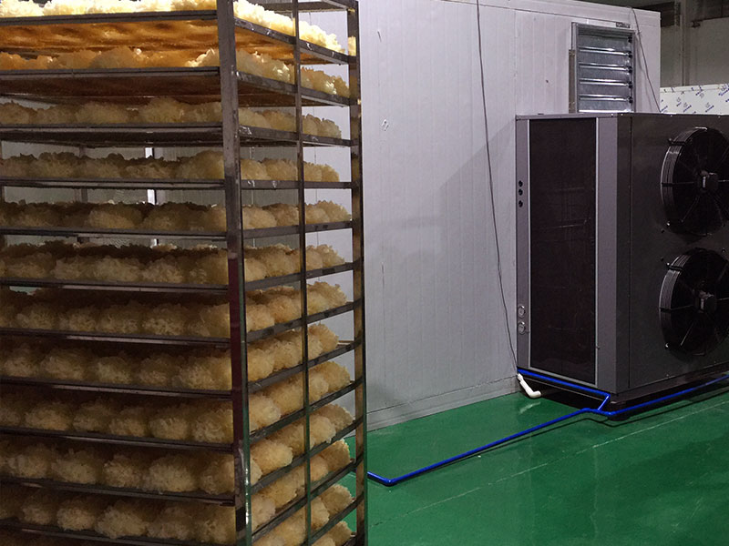 福建銀耳烘干機(jī)項(xiàng)目